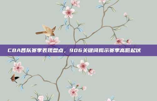 CBA各队赛季表现盘点，906关键词揭示赛季高低起伏📈